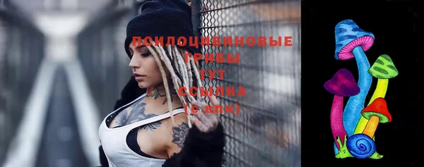прущие грибы Пересвет