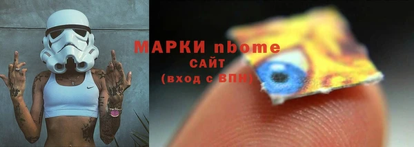 сатива Губаха