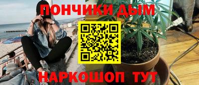 mdpv Гатчина