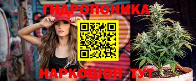 ГАЛЛЮЦИНОГЕННЫЕ ГРИБЫ Абакан