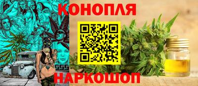 mdpv Гатчина