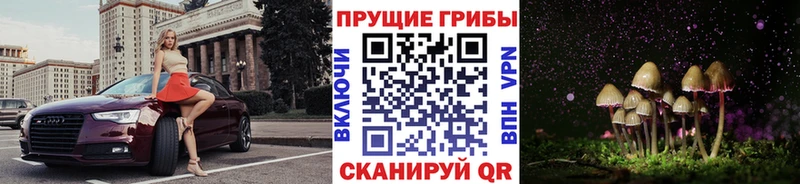 Псилоцибиновые грибы прущие грибы  маркетплейс наркотические препараты  Анапа  продажа наркотиков 
