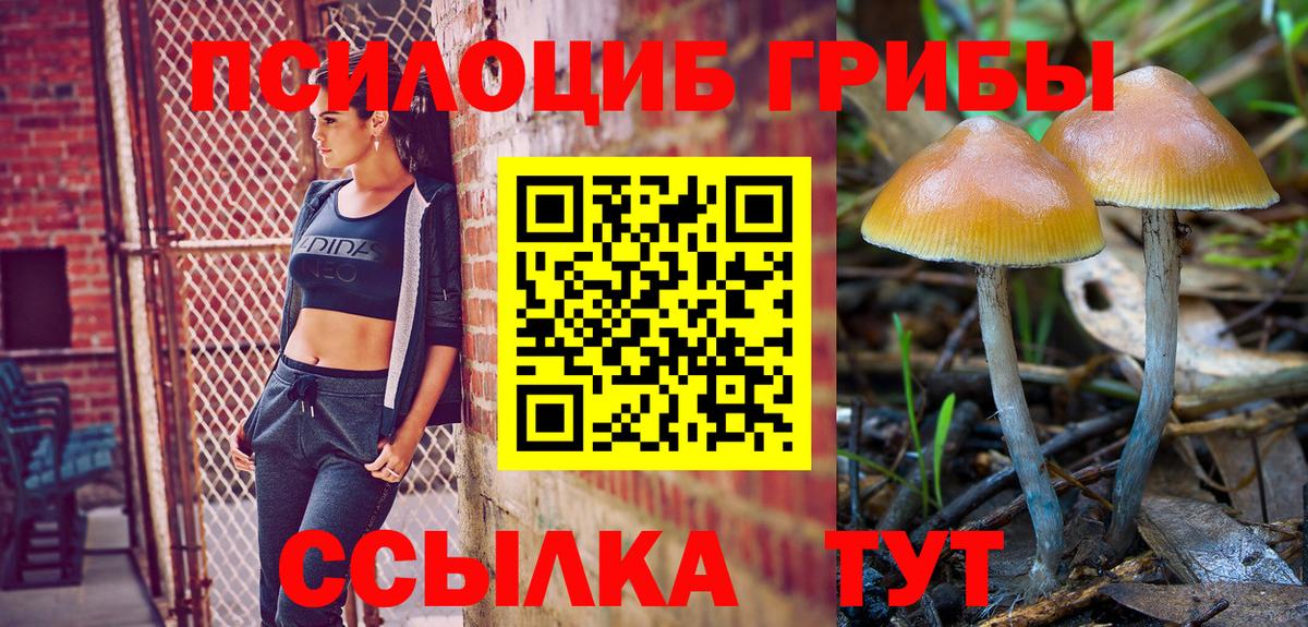 Псилоцибиновые грибы прущие грибы Анапа