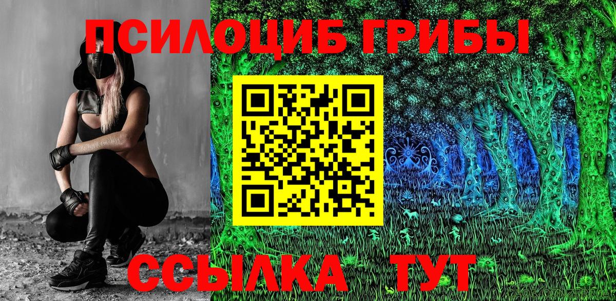 Псилоцибиновые грибы Cubensis Анапа