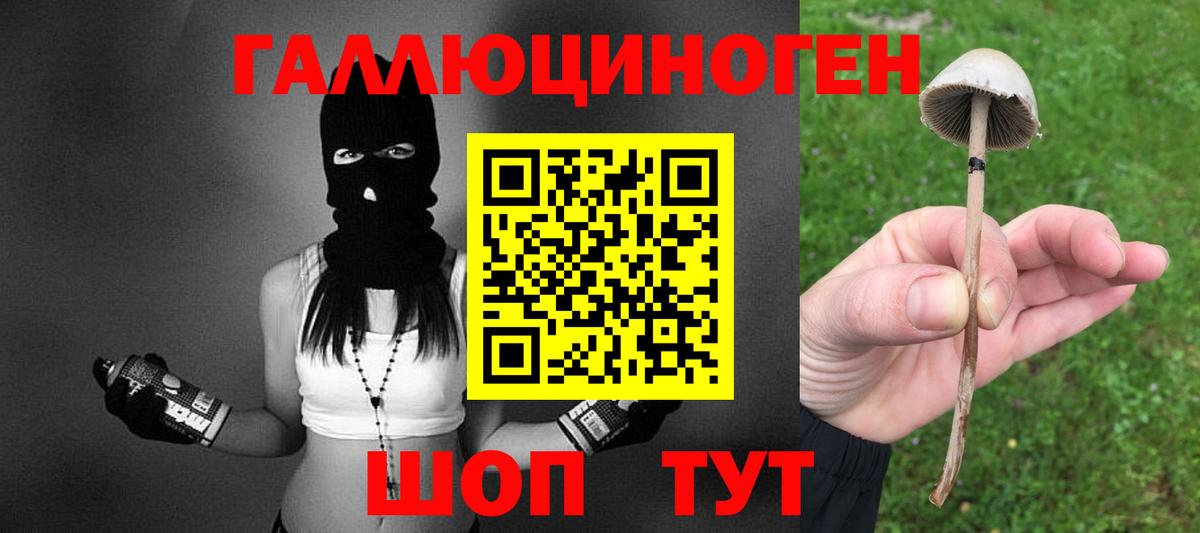 Галлюциногенные грибы Cubensis Анапа