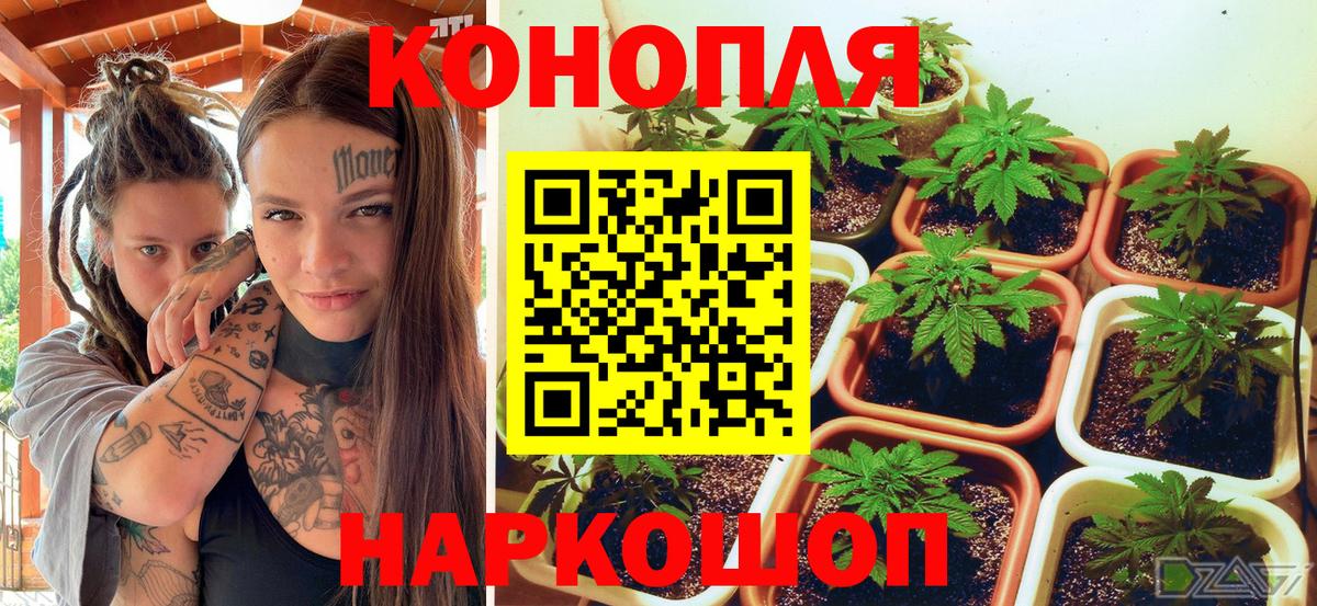 Анапа  МАРИХУАНА план  МАРИХУАНА THC 21%  Вход с VPN 